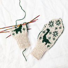 Last inn bildet i Galleri-visningsprogrammet, Brachiosaurus dinosauroppskrifter (oppskriftpakke)