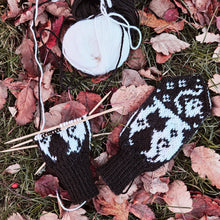 Last inn bildet i Galleri-visningsprogrammet, Heksebrygg junior