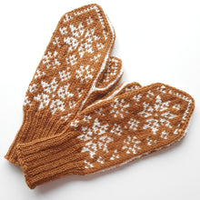 Last inn bildet i Galleri-visningsprogrammet, Frostnatt