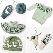 Last inn bildet i Galleri-visningsprogrammet, Brachiosaurus dinosauroppskrifter (oppskriftpakke)
