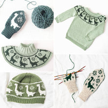 Last inn bildet i Galleri-visningsprogrammet, Brachiosaurus dinosauroppskrifter (oppskriftpakke)
